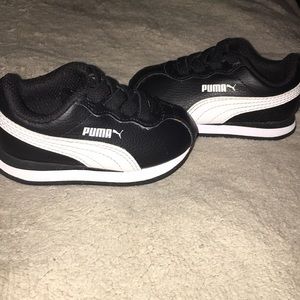 Infant Pumas